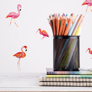 Flamingos