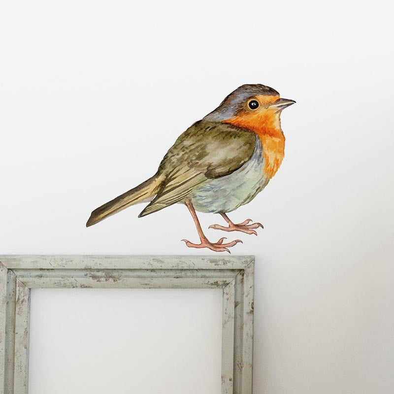 Robin