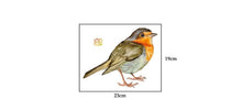 Load image into Gallery viewer, Robin