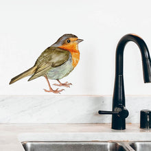 Load image into Gallery viewer, Robin