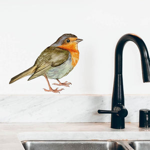 Robin
