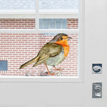 Load image into Gallery viewer, Robin
