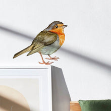 Load image into Gallery viewer, Robin